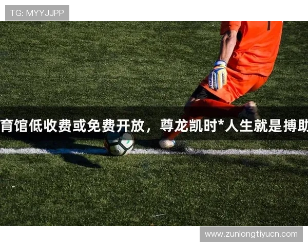 尊龙凯时人生就是拼搏：拼搏精神在实现人生目标中的关键作用分析