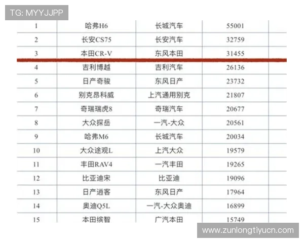 尊龙时凯中国集团人生官网：详细了解企业产品线、服务内容及客户案例分析